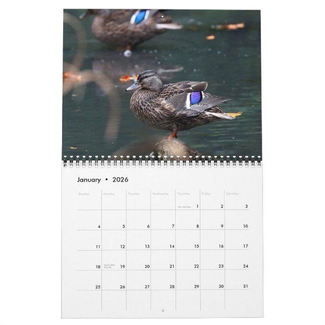 Mallards 2021 kalender (Jan 2026)