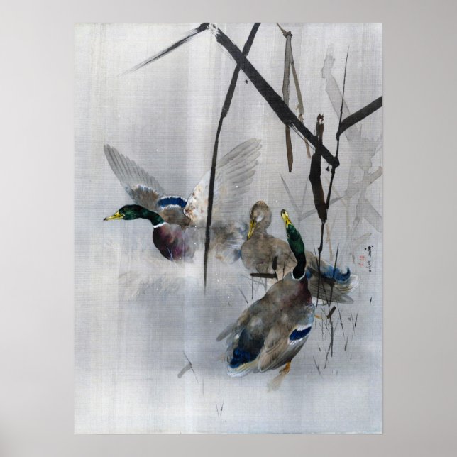 Mallards and Reeds, Watanabe Seitei Poster (Framsidan)