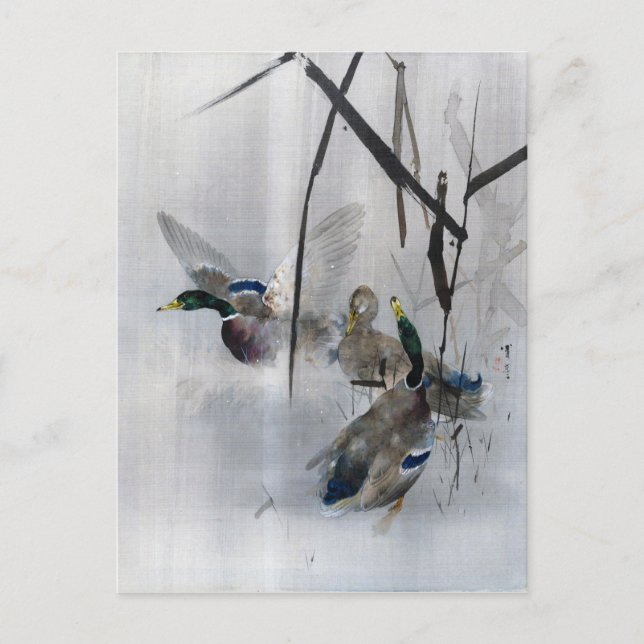 Mallards and Reeds, Watanabe Seitei Vykort (Framsida)