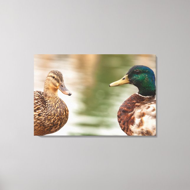 Mallards Canvastryck (Framsida)
