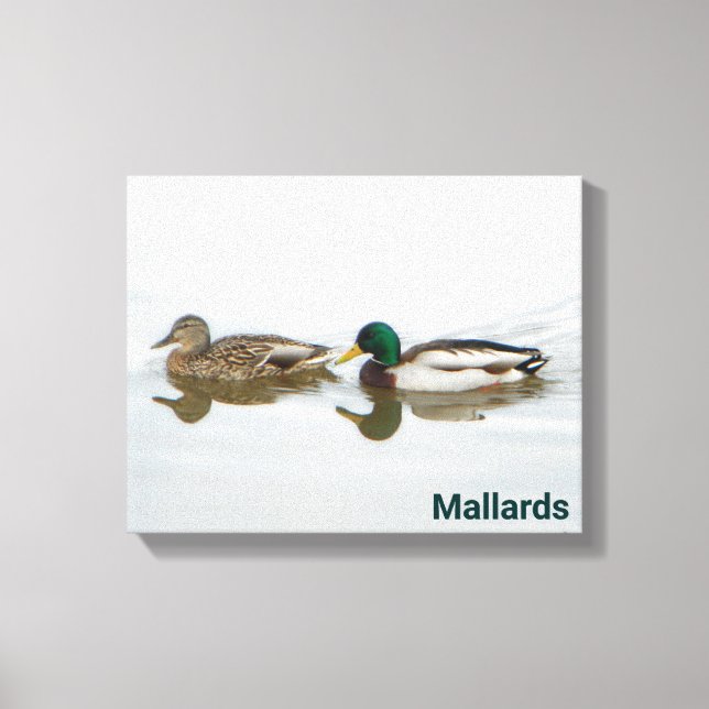 Mallards Canvastryck (Framsida)