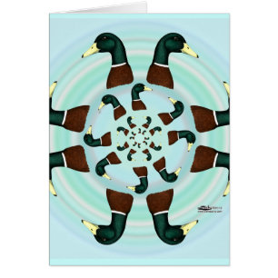 Mallards Galore! OBS Kort