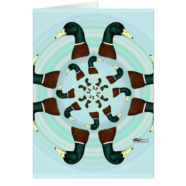 Mallards Galore! OBS Kort (Framsidan)