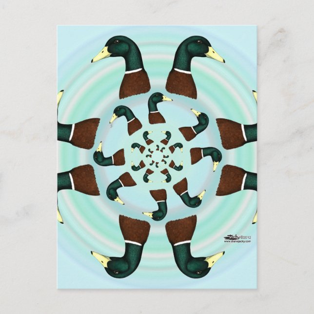 Mallards Galore! Vykort (Framsida)