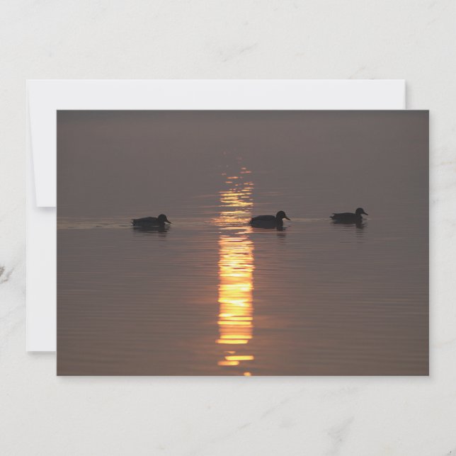 Mallards-inbjudan Inbjudningar (Framsida)