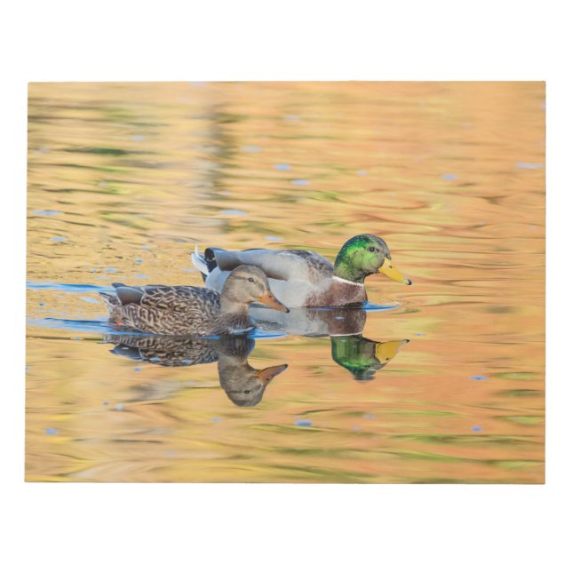 Mallards par anteckningsblock (Framsida)