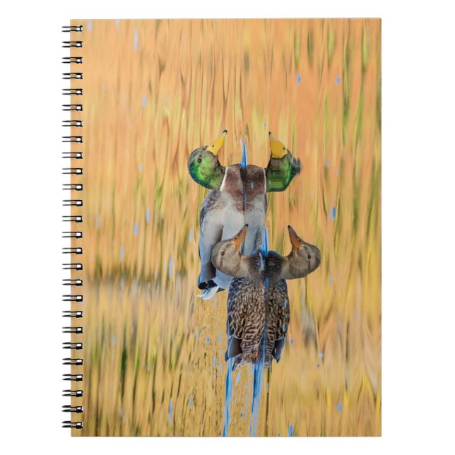 Mallards par anteckningsbok med spiral (Framsidan)