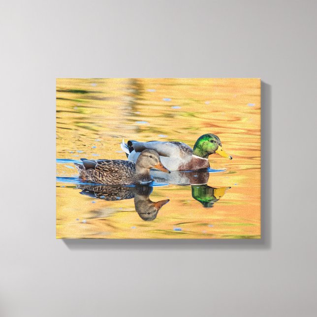 Mallards par canvastryck (Framsida)