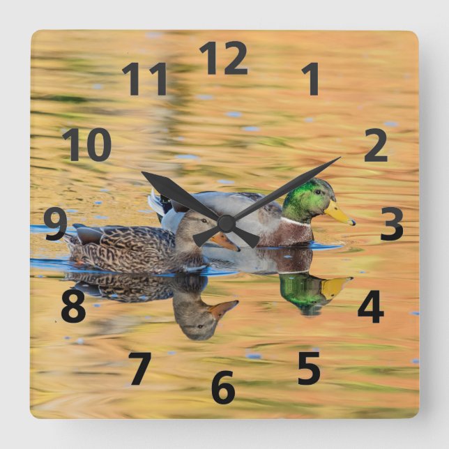 Mallards par fyrkantig klocka (Framsida)