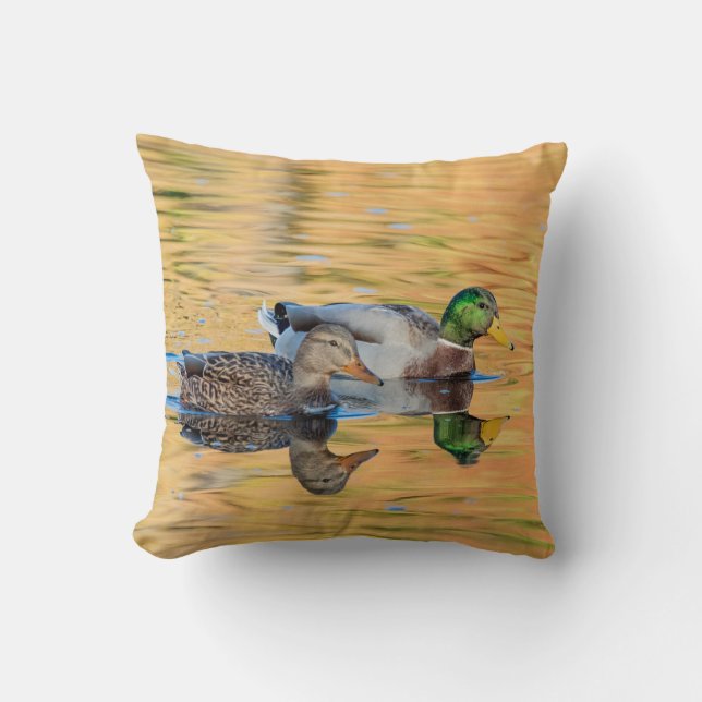Mallards par kudde (Framsida)