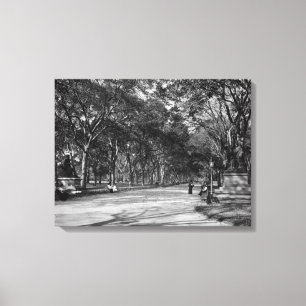 Mallen i Central Park i New York City Canvastryck