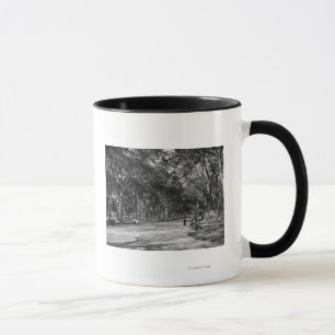 Mallen i Central Park i New York City Mugg