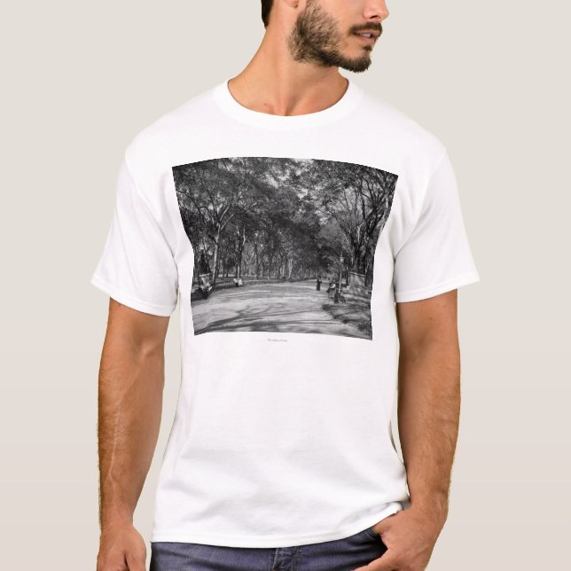 Mallen i Central Park i New York City T Shirt (Framsida)