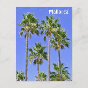 Mallorca Handflatan Träd Vykort