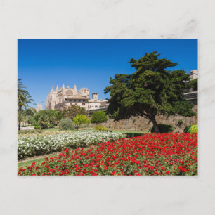 Mallorca - Katedralen i Palma-vykort Vykort
