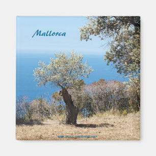 Mallorca-magneter Magnet