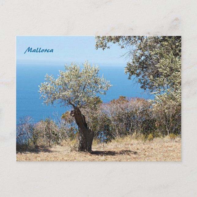 Mallorca vykort (Framsida)