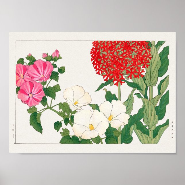 Mallow, Centranthus av Tanigami Konan Poster (Framsidan)