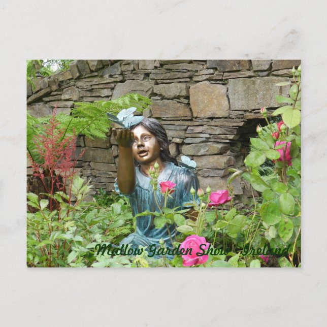Mallow Garden Show - Irland Vykort (Framsida)