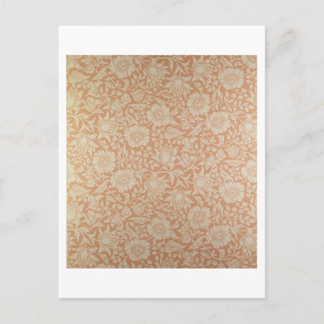 Mallow-tapet-design Vykort (Framsida)