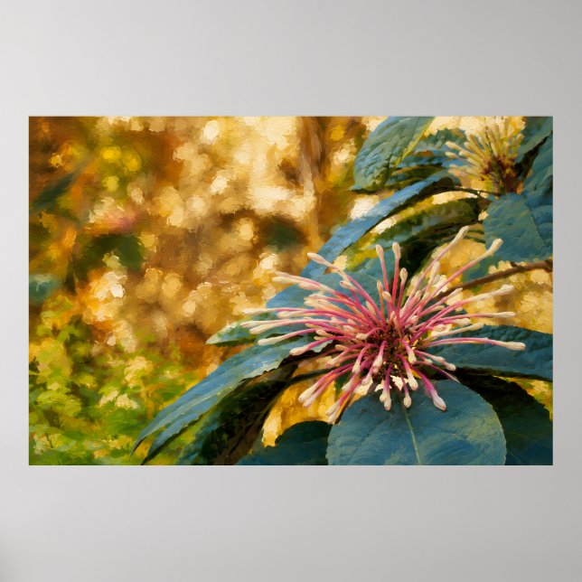 Målmedveten tropisk blomsteraffisch poster (Framsidan)