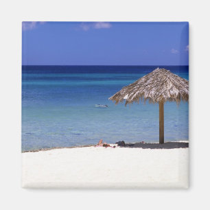 Malmok Beach, Aruba, Nederländska Antillerna Magnet