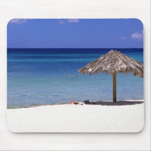 Malmok Beach, Aruba, Nederländska Antillerna Musmatta