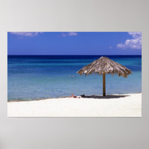 Malmok Beach, Aruba, Nederländska Antillerna Poster