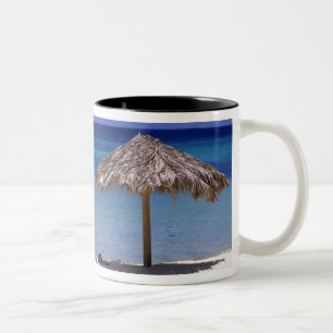Malmok Beach, Aruba, Nederländska Antillerna Två-Tonad Mugg