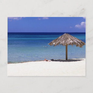 Malmok Beach, Aruba, Nederländska Antillerna Vykort