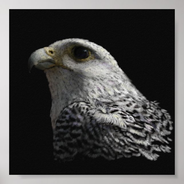 Målning av arktisk gyrafalcon Porträtt Poster (Framsidan)