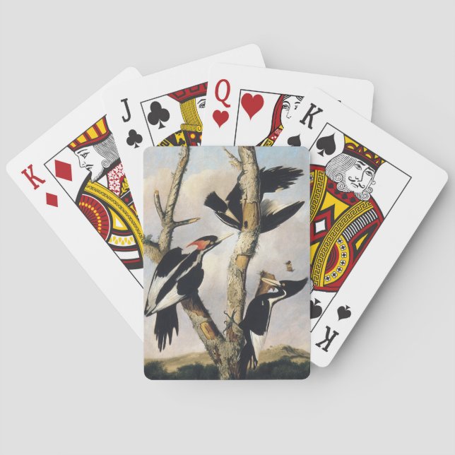 Målning av Audubon Ivory-Billed Woodpecker Casinokort (Baksidan)