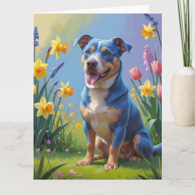 Målning av blå heeler-hund och vårblommor  kort (Framsida)