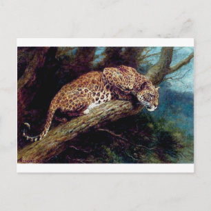 målning av djurantik från leopard vild katt vykort