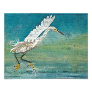 Målning av Egret Coastal Bird Ocean Sjö Fototryck