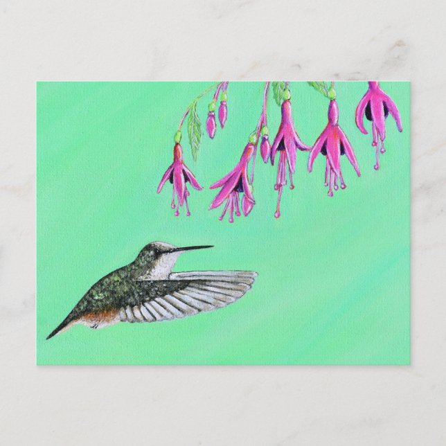 Målning av Hummingbird och Fuchsia Vykort (Framsida)