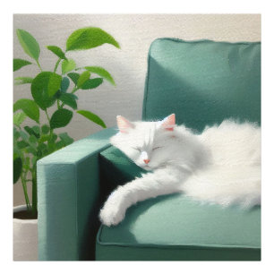 Målning av kattfiltning på en Grönt påse Fototryck