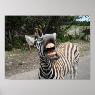 målning av lycklig chezzy zebra poster