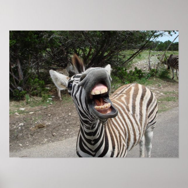 målning av lycklig chezzy zebra poster (Framsidan)