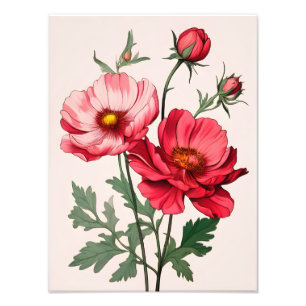 Målning av Rosa och rödpoppies Fototryck