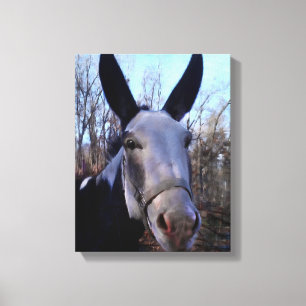 Målning för Donkey Canvastryck
