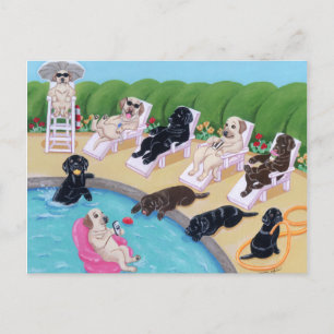 Målning för Poolside Party Labradors Vykort