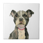 Målning för vattenfärg för hund för tjur "för kakelplatta<br><div class="desc">Denna är en vattenfärgmålning av en svartvit groptjurvalp. Det är ett slut upp av hunden med den stora lovande person tittar ögon. Detta målades på den välvda hetten pressande papper med Daniel,  smed somvattenfärgen målar.</div>