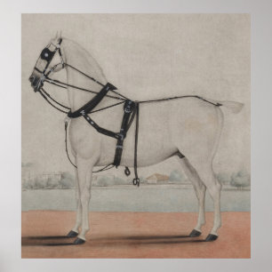 Målning för vintagevagnshäst (1845) poster