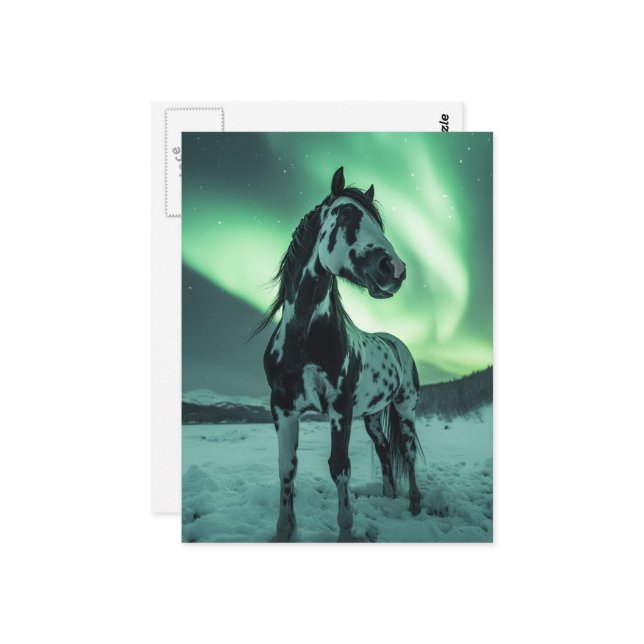 Målning Häst Norrsken Vykort (Fram/Back In Situ)