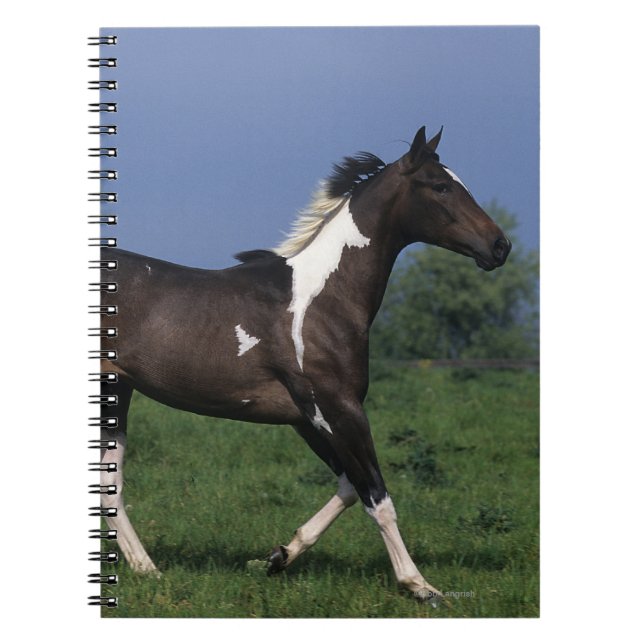 Målning Häst Springande 2 Anteckningsbok Med Spiral (Framsidan)