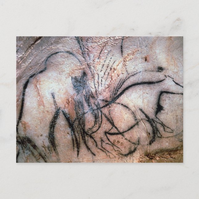 Målningar som avger mammot och nötkreatur från C Vykort (Framsida)