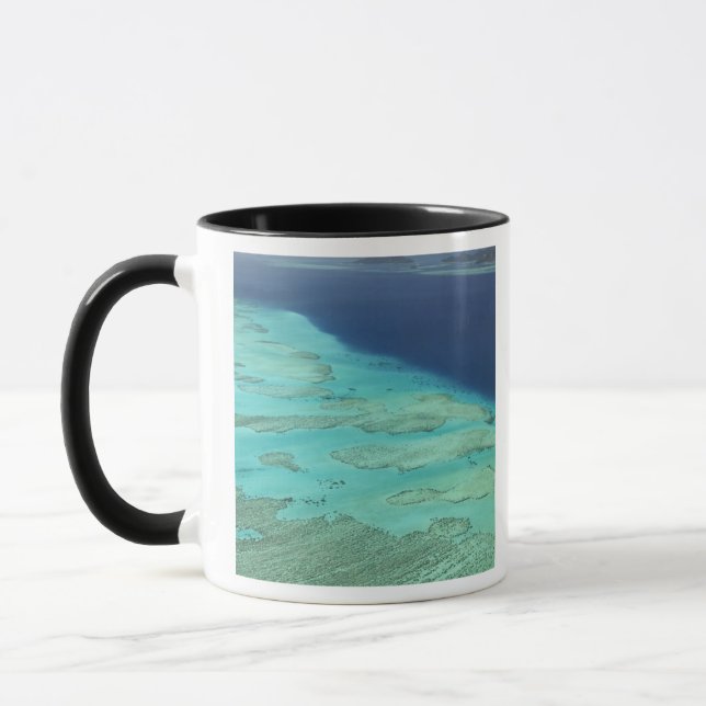 Malolo barriärrev utanför Malolo Island, Fiji Mugg (Vänster)