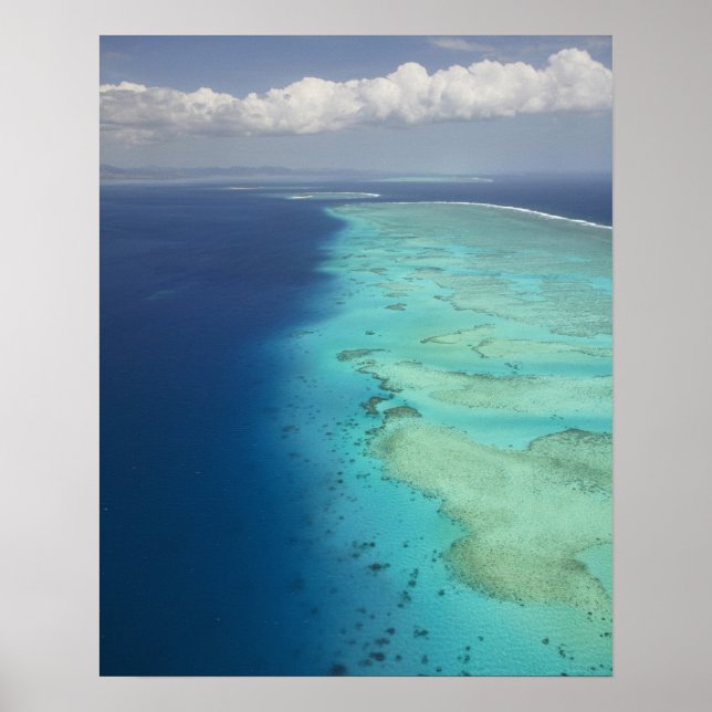 Malolo Barrier Reef off Malolo Island, Fiji Poster (Framsidan)