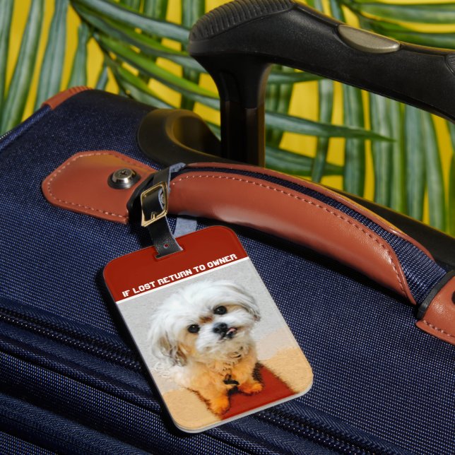 Malshi Hund Bagageetikett Bagagebricka (Framsida Insitu 1)